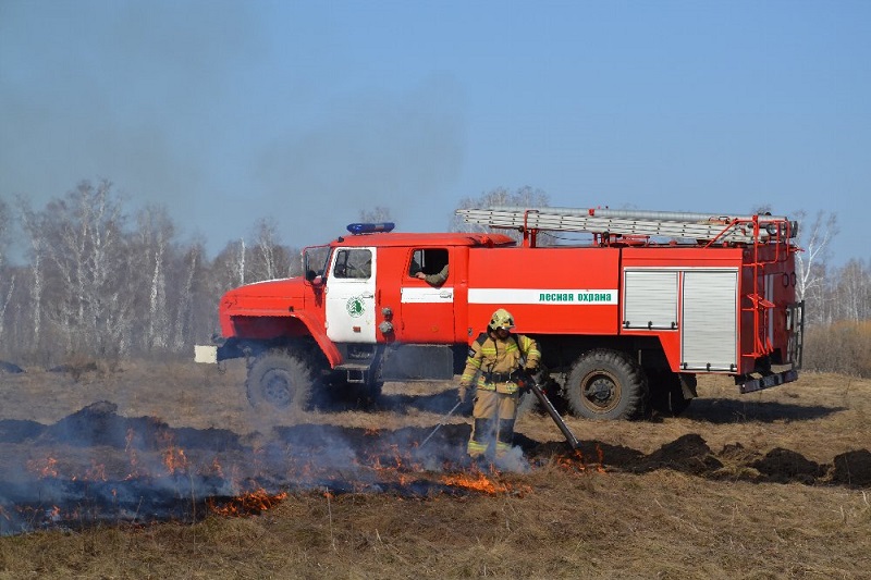 В Увельском произошло два лесных пожара 