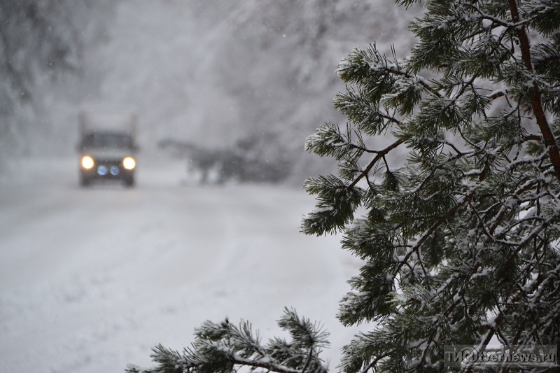 Челябинскую область накроют снегопады и метели